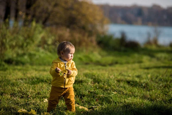 Menino Todler Brincando Com Folhas Amarelas Outono Fundo Floresta Outono — Fotografia de Stock