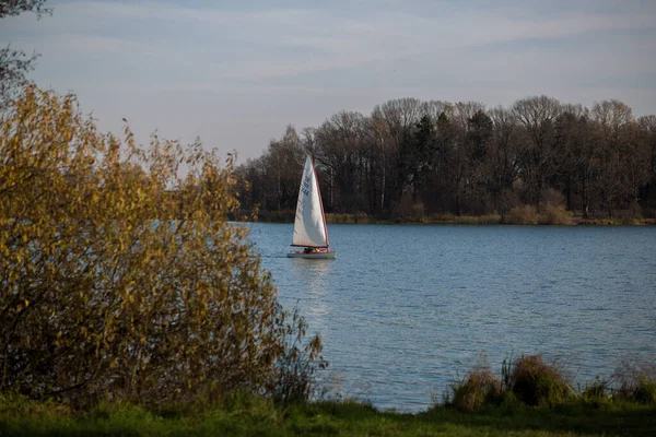 Balashikha, Rusya - 16 Ekim 2019: Bir sonbahar ormanı arka planında bir yelkenli yatı yüzüyor