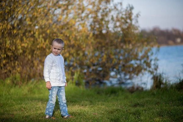 .Beyaz örgü süveter giyen kısa saçlı bir kız sonbahar ormanının arka planına bakıyor, altın sonbahar kızılderili yazı
