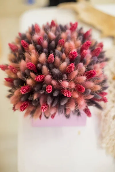 Panicles of dried cereal flowers painted in pink and burgundy colors, a bouquet of dried flowers in a soft selective focus.