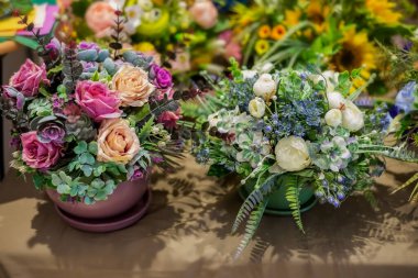 .İç dekorasyon için güzel, renkli yapay bitkiler buketi, yumuşak odak, seçici odak