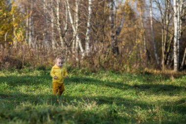 .Küçük çocuk sonbahar ormanının arka planında yürümeyi öğreniyor. Altın sonbahar, Hint Yazı.