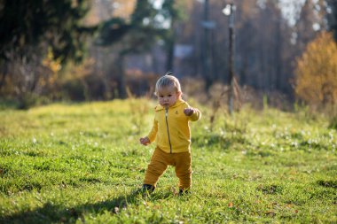 .Sarı ceketli yeni yürümeye başlayan çocuk Hindistan yazında, sonbahar parkında yürümeyi öğreniyor..