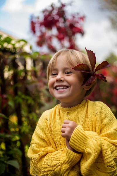Beautiful happy girl with a short haircut in a yellow knitted sweater is smiling cute on a background of red leaves of wild grapes,Welcome warm autumn. Golden autumn concept, Indian summer, September.
