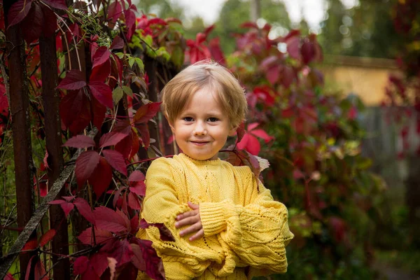 Sarı örgü kazaklı, kısa saçlı güzel mutlu kız kollarını göğsünün üzerine kavuşturdu, Autumn Portre. Sıcak sonbahara hoş geldiniz. Altın sonbahar konsepti, Hindistan yazı, Eylül..