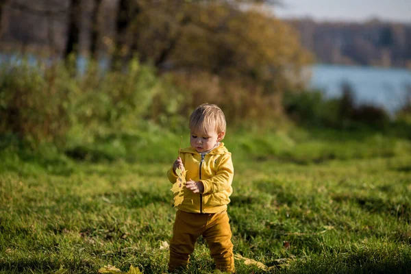 Sonbahar ormanı ve gölün arka planında sonbahar sarısı yapraklarıyla oynayan küçük çocuk. Altın sonbahar, Hint Yazı