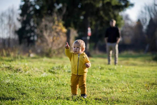Sarı ceketli bir çocuk parmağını bir sonbahar parkında Hindistan yazında bir şeye doğrultuyor..