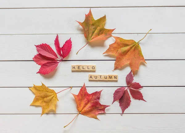 Herfst Lay Out Met Veelkleurige Gevallen Bladeren Hallo Herfst Belettering — Stockfoto