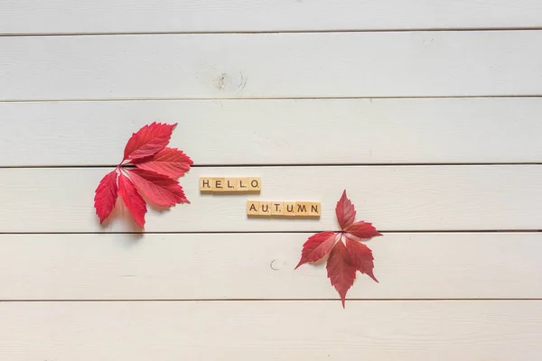 Herfst Plat Lag Met Veelkleurige Gevallen Bladeren Hallo Herfst Belettering — Stockfoto