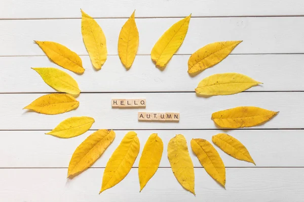 Φθινόπωρο Επίπεδη Θέσει Πολύχρωμα Πεσμένα Φύλλα Και Hello Φθινοπωρινά Γράμματα — Φωτογραφία Αρχείου
