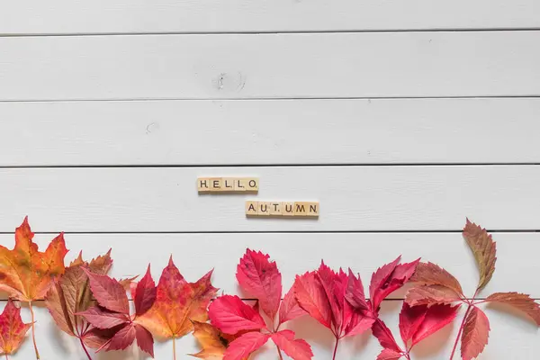 Herfst Plat Lag Met Veelkleurige Gevallen Bladeren Hallo Herfst Belettering — Stockfoto