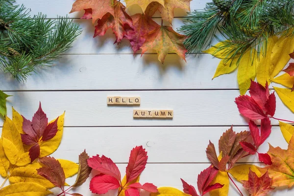 Herfst Lay Out Met Veelkleurige Gevallen Bladeren Hallo Herfst Belettering — Stockfoto