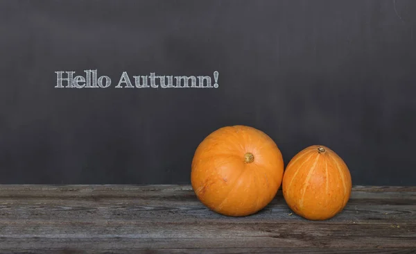 Hallo Herfst Begroeting Tekst Met Kleurrijke Pompoenen Donkere Houten Schoolbord — Stockfoto