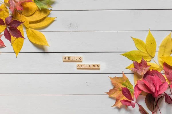 Herfst Lay Out Met Veelkleurige Gevallen Bladeren Hallo Herfst Belettering — Stockfoto