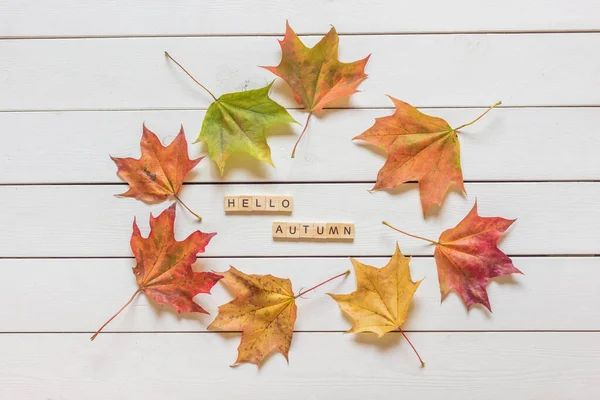Φθινόπωρο Επίπεδη Θέσει Πολύχρωμα Πεσμένα Φύλλα Και Hello Φθινοπωρινά Γράμματα — Φωτογραφία Αρχείου