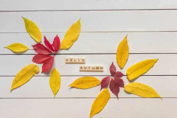 Φθινοπωρινή Διάταξη Πολύχρωμα Πεσμένα Φύλλα Και Χαιρετίσματα Φθινοπωρινά Γράμματα Ξύλινο — Φωτογραφία Αρχείου