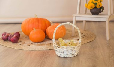 Küçük sarı ördek yavruları güzel bir stüdyoda, balkabağı süsleme sepetinde oturuyorlar..