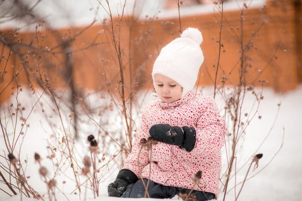 Ein kleines Mädchen sitzt im Schnee und pflückt in Handschuhen getrocknete Pflanzen — Stockfoto