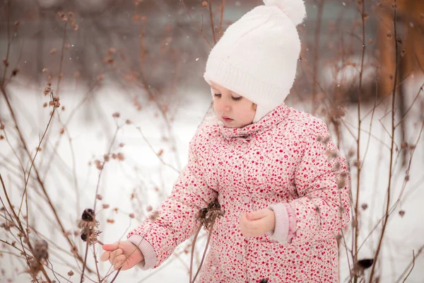 Ein kleines Mädchen sitzt im Schnee und pflückt an einem sonnigen Wintertag getrocknete Pflanzen — Stockfoto