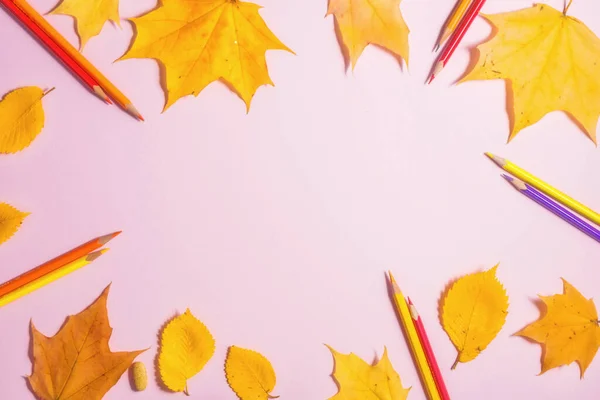 .Autumn fallen foliage and stationery on pink background