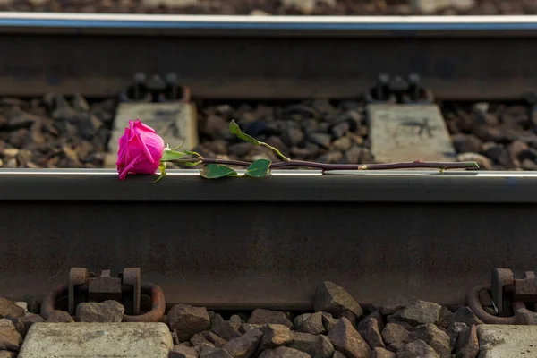 Κόκκινο Τριαντάφυλλο Βρίσκεται Στις Ράγες Στις Γραμμές Του Τρένου — Φωτογραφία Αρχείου
