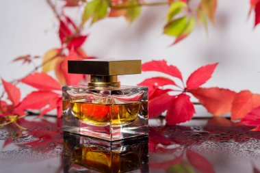 Parfüm şişesi ve siyah cam bir yüzey üzerindeki eski parfüm yaban üzüm yaprakları ve su damlaları, aroma kokusu, güzel kokulu kozmetik ve lüks bir tuvalet markası olan Eau de Toilette ile çevrelenmiş.