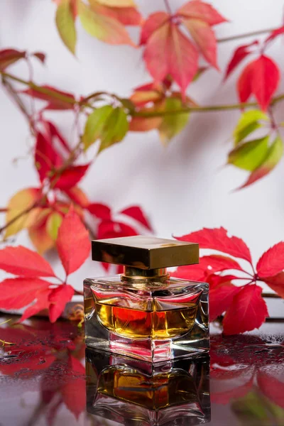 Parfüm şişesi ve siyah cam bir yüzey üzerindeki eski parfüm yaban üzüm yaprakları ve su damlaları, aroma kokusu, güzel kokulu kozmetik ve lüks bir tuvalet markası olan Eau de Toilette ile çevrelenmiş.