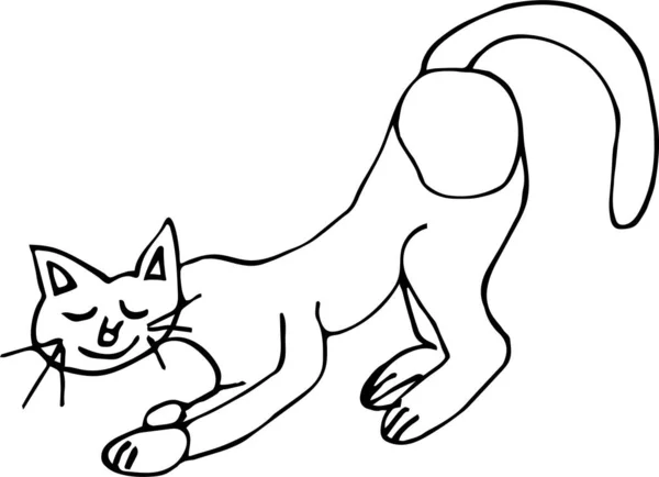 고양이 손그리기 Stock Vector Illustration — 스톡 벡터