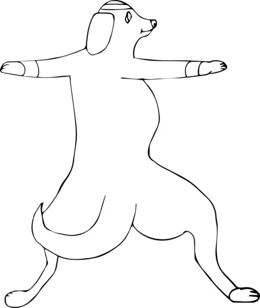 Farklı cinsten el yapımı şirin köpekler yogayı yalnız yapıyorlar. Spordan Asanas. Stok vektör illüstrasyonu.
