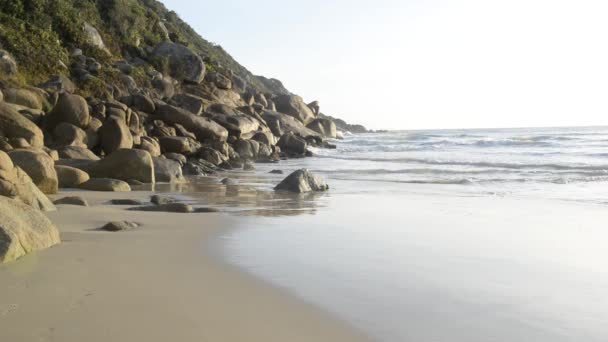 看到太平洋波涛冲击着巴西南部海岸的岩石 在日出时放松海浪运动的图像概念 海浪在空旷的热带沙滩上冲撞和发泡 — 图库视频影像