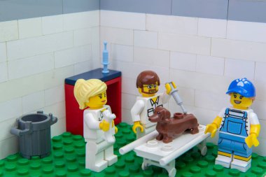 Florianopolis, Brezilya. 19 Eylül 2020 'de bir Dachshund köpeğine iğne yaparken hemşirenin biri klinikte dikkatini kemikle dağıtmış. Evcil hayvan bakımı kavramı. Seçici odak.