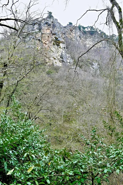 Roca Visible Través Ramas Primavera Árboles — Foto de Stock