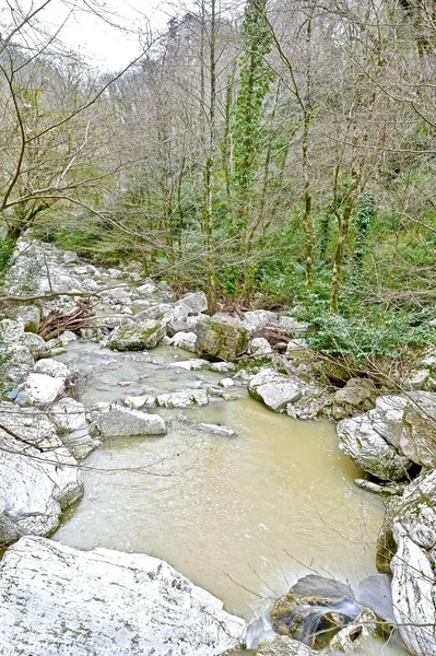 stock image river with rocks in a mountain gorge in spring