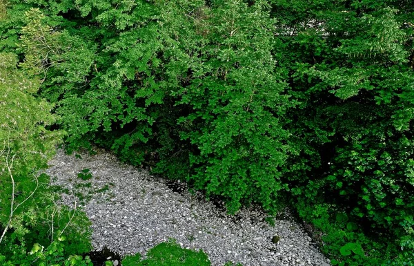 Ποταμός Βραχώδη Δίαυλο Και Πράσινη Βλάστηση — Φωτογραφία Αρχείου