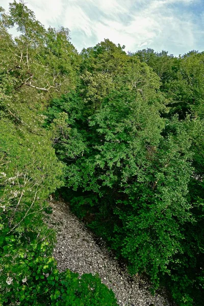 Rio Com Canal Rochoso Vegetação Verde — Fotografia de Stock