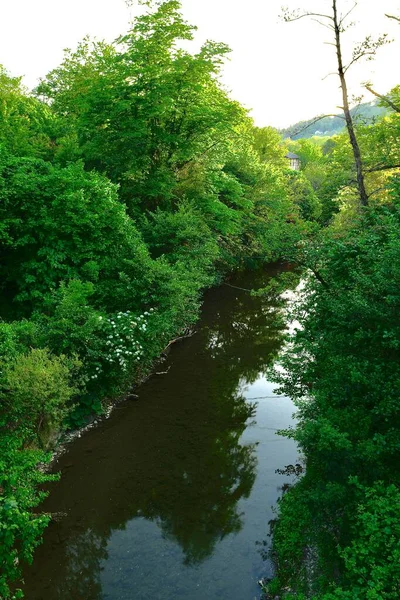 Kayalık Bir Kanalı Yeşil Bitkileri Olan Bir Nehir — Stok fotoğraf