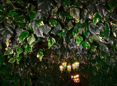 Yaprak döken kemerin altında asılı renkli fenerler