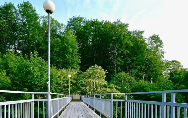 Ponte Madeira Com Trilhos Metal Entre Vegetação — Fotografia de Stock