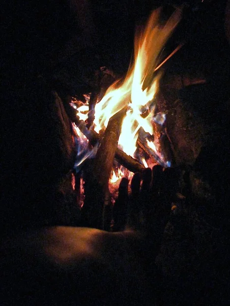 campfire flame with burning logs at night in absolute darkness