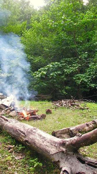 Vreugdevuur Met Borstelhout Een Groen Bosgebied — Stockfoto