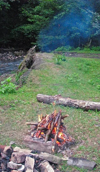 Falò Con Boscaglia Una Radura Verde — Foto Stock