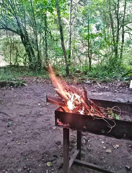 Fuego Con Leña Parrilla Rodeada Bosque —  Fotos de Stock