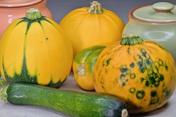 Żółte Okrągłe Dynie Surowymi Sezonowymi Warzywami Ceramicznymi Doniczkami — Zdjęcie stockowe