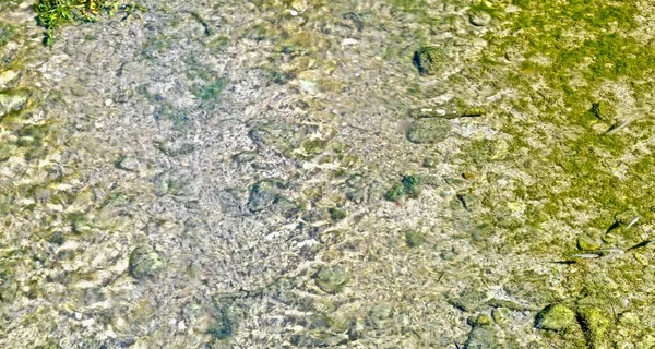 Clear water of a shallow river with a rocky bottom and green algae, with ripples on the surface