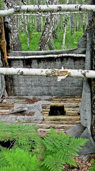 Una Fortificazione Mimetizzata Fatta Materiali Naturali Una Boscaglia Boschiva Tra — Foto Stock