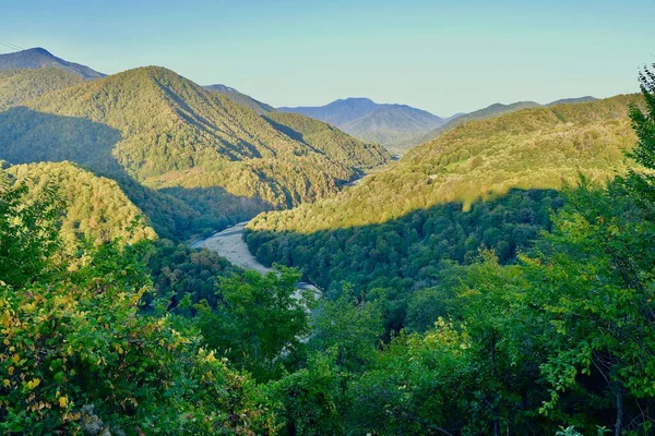 Rio Shakhe Entre Montanhas Cobertas Florestas Distrito Lazarevsky Grande Sóchi Fotos De Bancos De Imagens