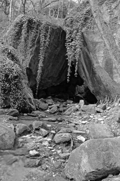 Cave Stone Cliff Surrounded Lush Vegetation Stones Riverbed Flowing — Stock Photo, Image