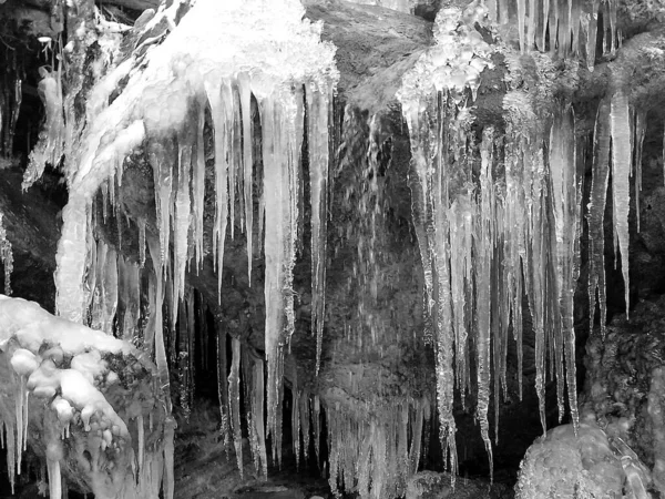 Icicles Hanging Clusters Unfrozen Mountain Stream Pebble Bottom Snow Build — Stock Photo, Image