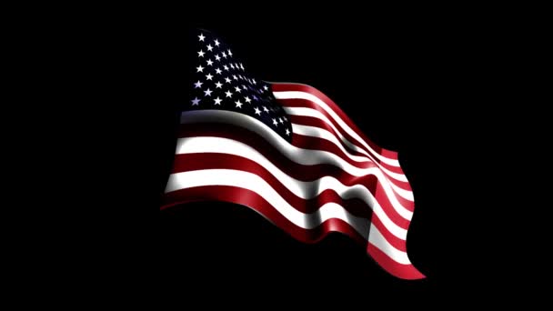 Ile Gwiazd Jest Fladze Amerykańskiej Kolor Flagi Amerykańskiej Wektor Flagi — Wideo stockowe