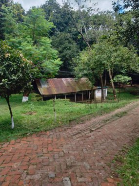 Natural background Hd, Beautiful nature background